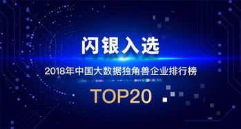 2018年中國(guó)大數(shù)據(jù)獨(dú)角獸企業(yè)20強(qiáng)發(fā)布 閃銀彰顯技術(shù)領(lǐng)航實(shí)力